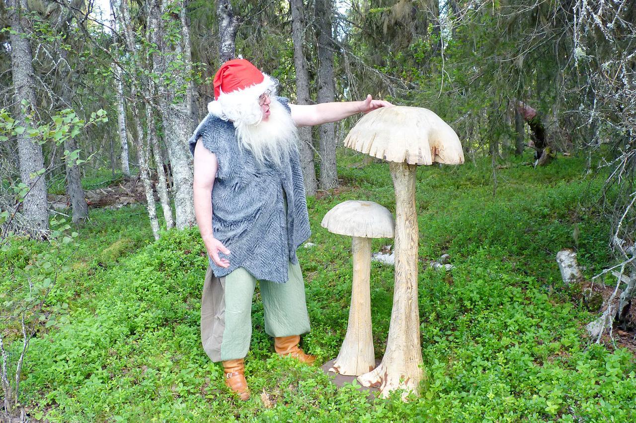 Elves Village Hotel Köngäs Esterno foto